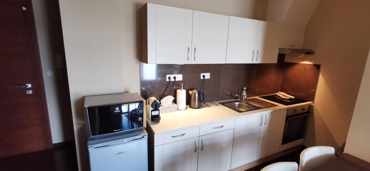 Moser Apartment Carlsbad Karlovy Vary Kültér fotó