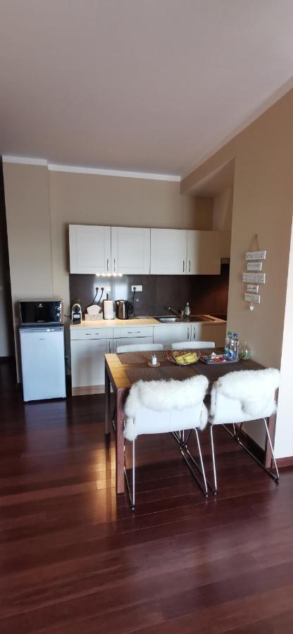 Moser Apartment Carlsbad Karlovy Vary Kültér fotó